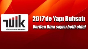 2017`de ruhsat verilen bina sayısı
