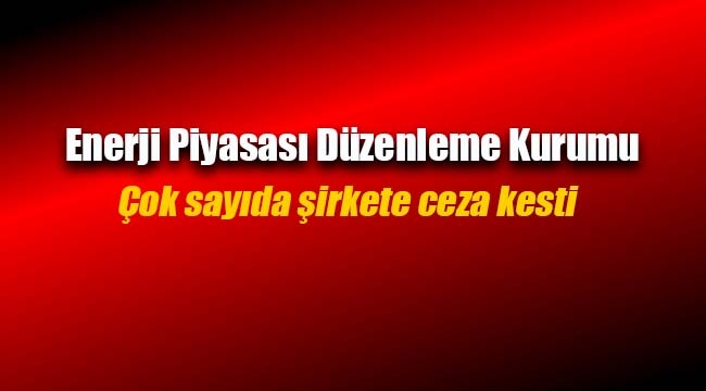 EPDK'dan çok sayıda işletmeye ceza