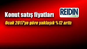 REIDIN Emlak Endeksi; Konut satış fiyatları Ocak 2017'ye göre yüzde 12 arttı