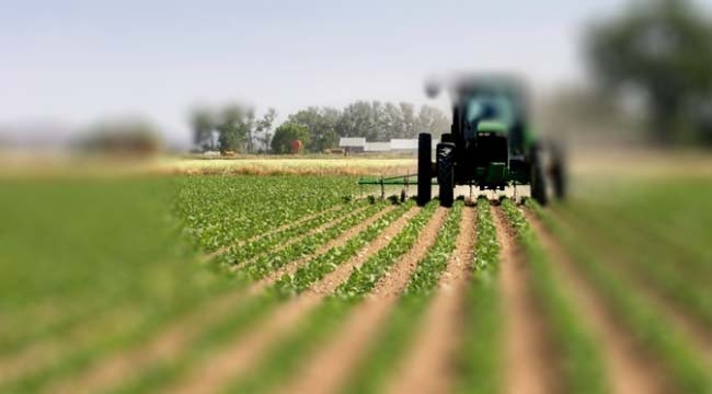 Tarımsal Üretime Dair Düşük Faizli Yatırım ve İşletme Kredisi