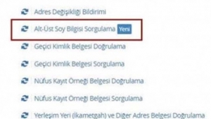 Tıkla soyunu öğren! E-devlet soy ağacı talebine karşılık veremez halde turkiye.gov.tr resmen çöktü