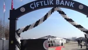 Sabırlar taştı Çiftlikbank çiftliği basıldı