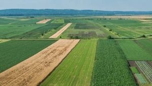 Tarımsal Arazi Edindirme yönetmeliği Resmi Gazete'de yayımlandı