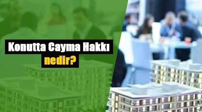 Cayma Hakkı nedir?