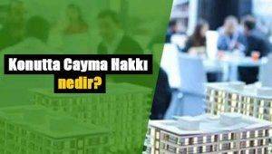 Cayma Hakkı nedir?