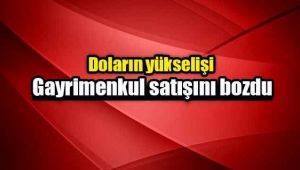 Gayrimenkul satışı dolar yüzünden iptal oldu