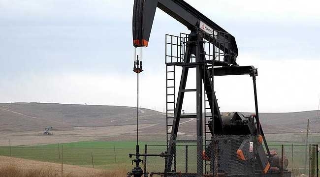 TPAO Tekirdağ'da petrol arayacak