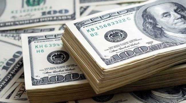 Aylık en yüksek reel getiri Dolar'da
