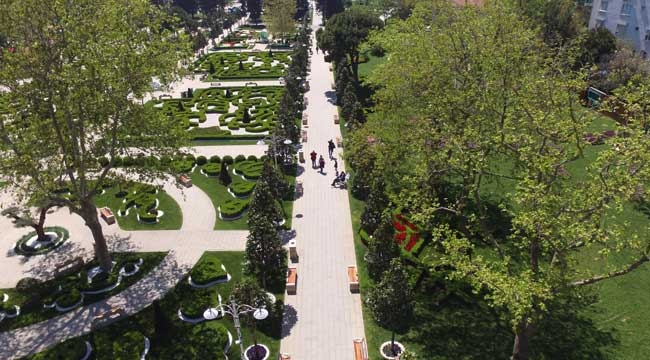 İstanbul'a Konuşan Ağaçlar Projesi