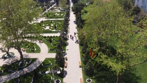 İstanbul'a Konuşan Ağaçlar Projesi
