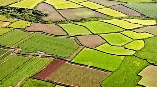 `Tarım arazileri` için flaş karar! Kullanıcısına satılabilecek...