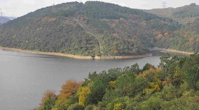 Türkiye'nin en büyük Kent Ormanı açılıyor