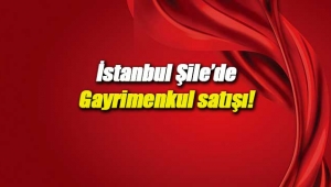 İstanbul'da gayrimenkul satışı