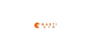 Martı GYO finansal sonuçları