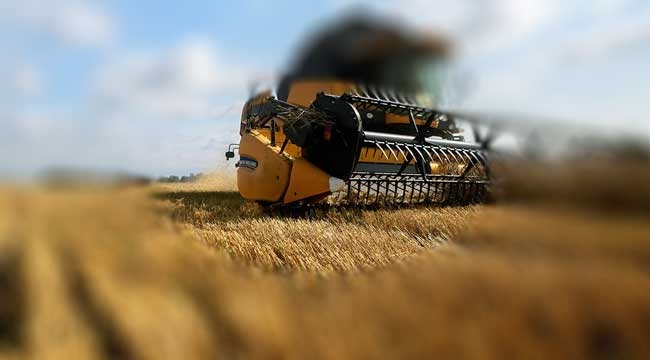 Tarım Ürünleri Üretici Fiyat Endeksi (Tarım ÜFE) Haziran rakamları