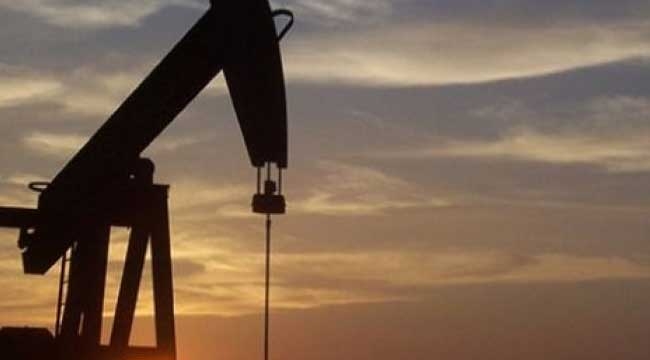 TP'ye İki ilde petrol arama ruhsatı