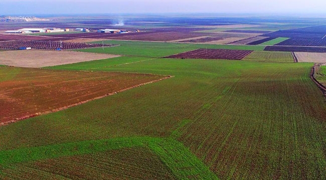 Alpu Termik Santrali izinleri mahkemede