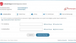 e-Devlet kapısında yeni sorgulamalar