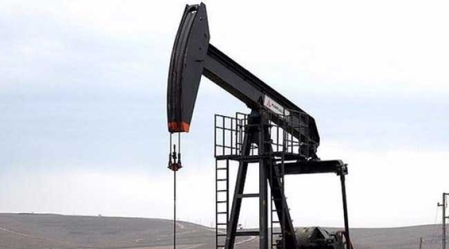 TPAO Bitlis ve Siirt'te petrol arayacak