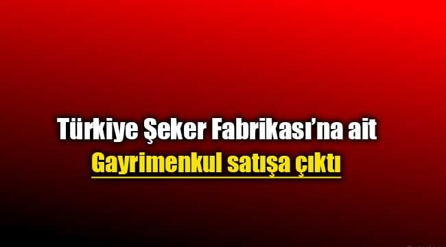 Türkiye Şeker Fabrikaları'na ait gayrimenkul satışa çıktı