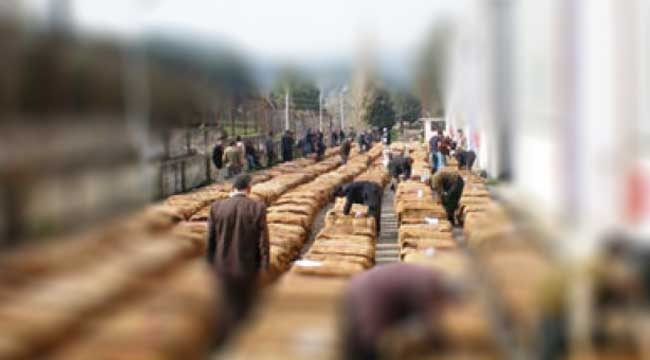 2017 ürünü üretici tütünlerine açık artırma başlangıç fiyatları belirlendi