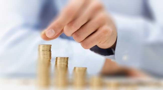 Bireysel Katılım Sermayesi yönetmeliği