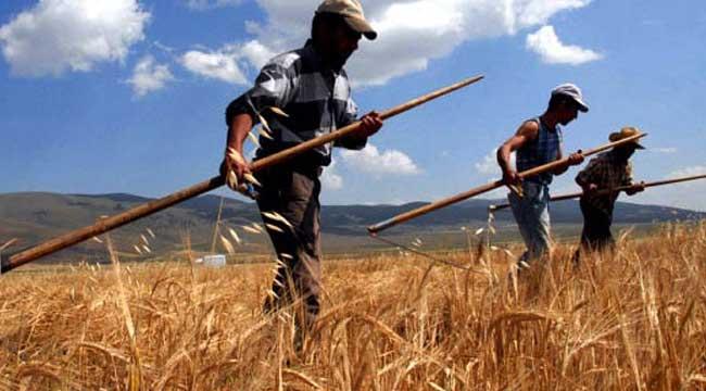 Tarımsal işletmelere katılım desteği ödemesi tebliği Resmi Gazete'de