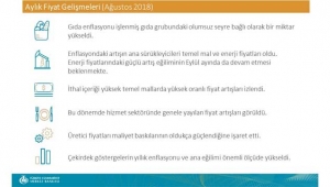 TCMB Aylık Fiyat Gelişmeleri Ağustos verileri