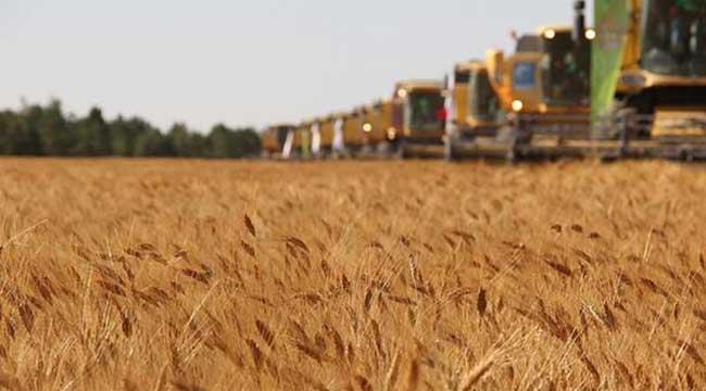 Yerli üretime yıllık 100 TL'ye Hazine arazisi desteği! Nereye başvurulacak, nasıl kiralanacak?