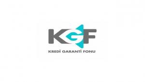 Kredi Garanti Kurumlarına Sağlanan Hazine Desteği için yeni kararname