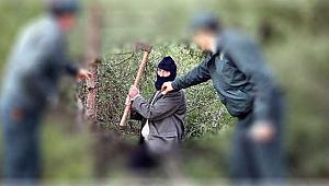 20 Orman Muhafaza Memuru işe alınacak