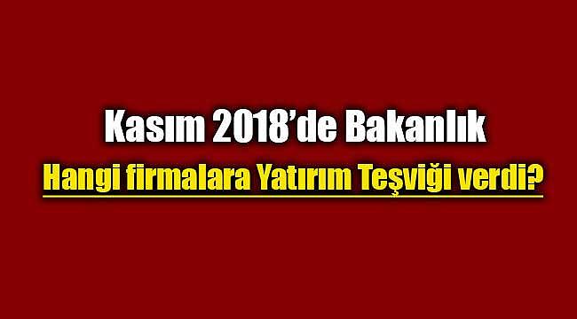 2018 Kasım ayında yatırım teşviki verilen firma listesi açıklandı