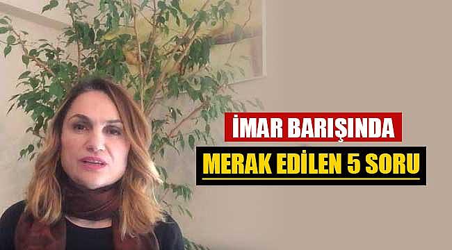 İmar Barışı'nda merak edilen 5 soru ve cevabı
