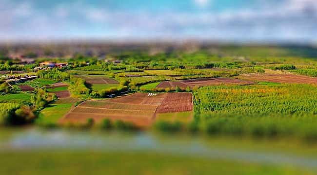 2019 Arazi toplulaştırma ile alakalı yönetmelikte düzenleme