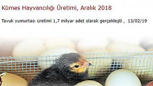 TÜİK, Süt ve Süt Ürünleri Üretimi ile Kümes Hayvancılığı istatistiklerini açıkladı