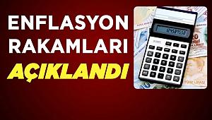 2019 Mart ayı TÜFE, TEFE rakamları ne oldu