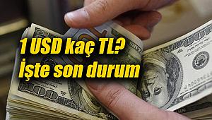 Gözler ABD'de! 13 Kasım sabahı 1 Dolar ne kadar, kaç TL?