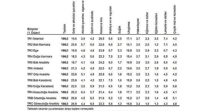 Konut ve Kira Harcamasına En Yüksek Payı TR1 İstanbul Bölgesi Ayırdı
