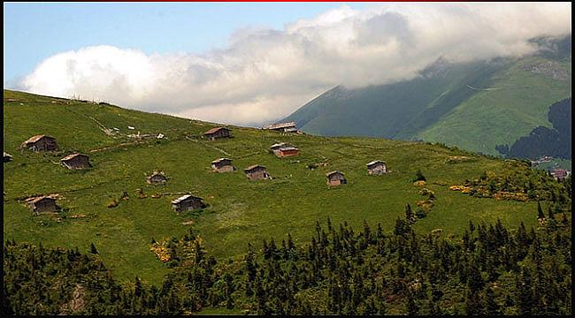 Trabzon Barma Yaylası Turbalığı kesin korunacak hassas alan ilan edildi