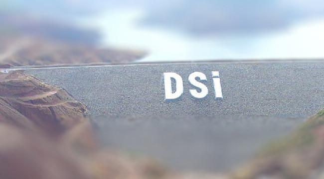 DSİ'den Su Tahsisleri Yönetmeliği