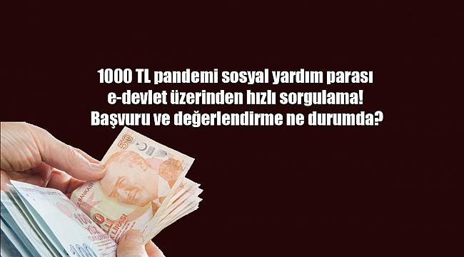 1000 TL pandemi sosyal yardım parası e-devlet üzerinden hızlı sorgulama! Başvuru ve değerlendirme ne durumda?