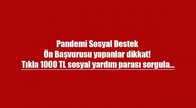 Pandemi Sosyal Destek Ön Başvurusu yapanlar dikkat! Tıkla 1000 TL sosyal yardım parası sorgula...