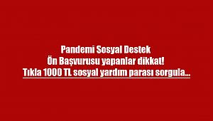Pandemi Sosyal Destek Ön Başvurusu yapanlar dikkat! Tıkla 1000 TL sosyal yardım parası sorgula...