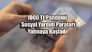 1000 TL Pandemi Sosyal yardım nakdi destek paraları yatmaya başladı mı? e-Devlet üzerinden sorgulama