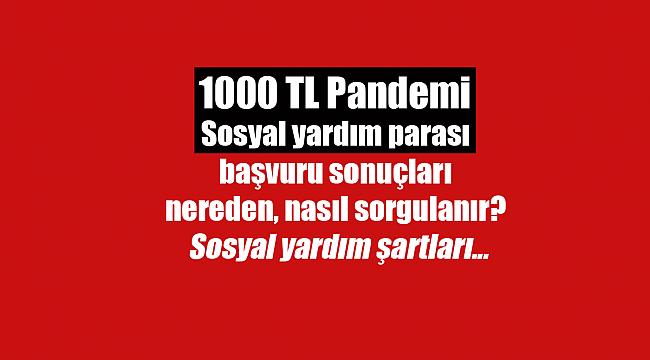 1000 TL Pandemi Sosyal yardım parası başvuru sonuçları nereden, nasıl sorgulanır? Sosyal yardım şartları...