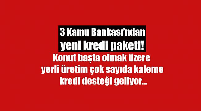 Kamu bankalarından yeni kredi paketi! Konut başta olmak üzere yerli üretim çok sayıda kalem için kredi desteği geliyor...