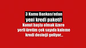 Kamu bankalarından yeni kredi paketi! Konut başta olmak üzere yerli üretim çok sayıda kalem için kredi desteği geliyor...