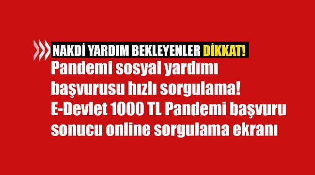 Pandemi sosyal yardımı başvurusu hızlı sorgulama! E-Devlet 1000 TL Pandemi başvuru sonucu online sorgulama ekranı