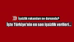 İşsizlik rakamları ne durumda? İşte Türkiye'nin en son işsizlik verileri...