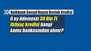 6 ay ödemesiz 30 Bin TL ihtiyaç kredisi hangi kamu bankasından alınır? Halkbank Sosyal Hayatı Destek Kredisi